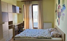Central Apartment No1